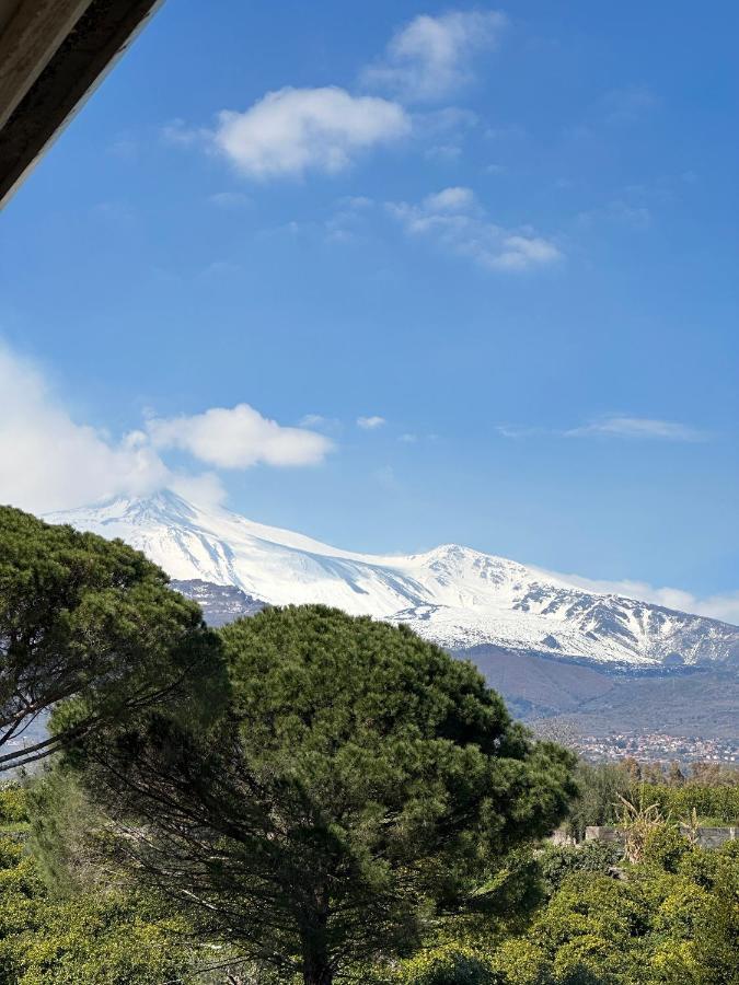 La Pigna Delle Aci Apartment Acireale Exteriér fotografie